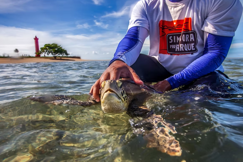 SAÚDE ÚNICA: Saúde humana, animal e ambiental