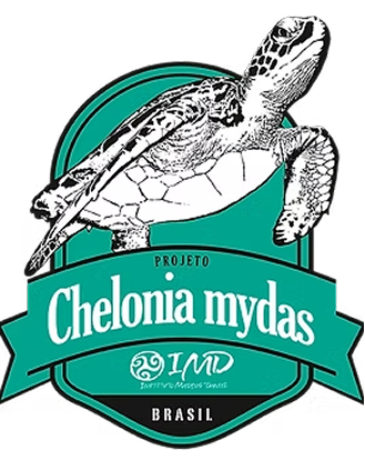Monitorando o impacto de poluentes sobre as tartarugas-marinhas brasileiras.