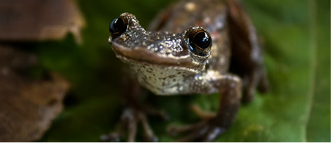 Faça a diferença: Apoie nossos projetos