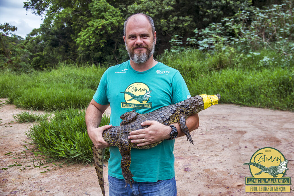 Resgate de jacaré na Serra