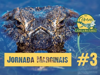 Jacarés pelo mundo – Jornada “Marginais” Cap.#3