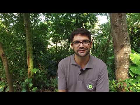 Desaparecido desde 1909: Expedição Pintoi