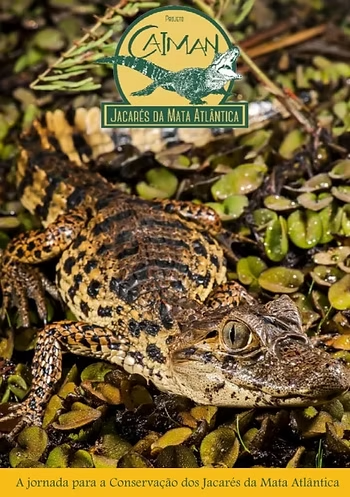 Projeto Caiman Lança Seu Segundo Livro “A Jornada Para a Conservação dos Jacarés da Mata Atlântica”