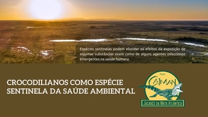 Crocodilianos como espécie sentinela da saúde ambiental
