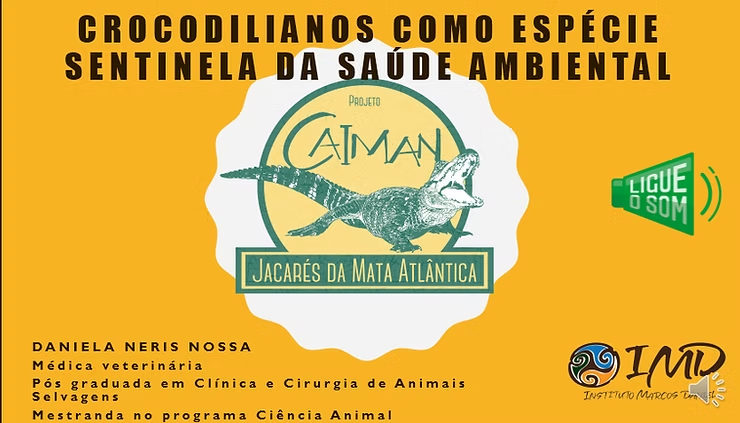 Crocodilianos Como Espécie Sentinela da Saúde Ambiental