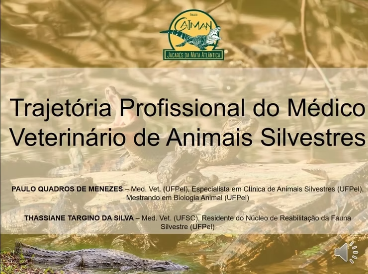 Papo de Jacaré: Trajetória Profissional do Médico Veterinário de Animais Silvestres