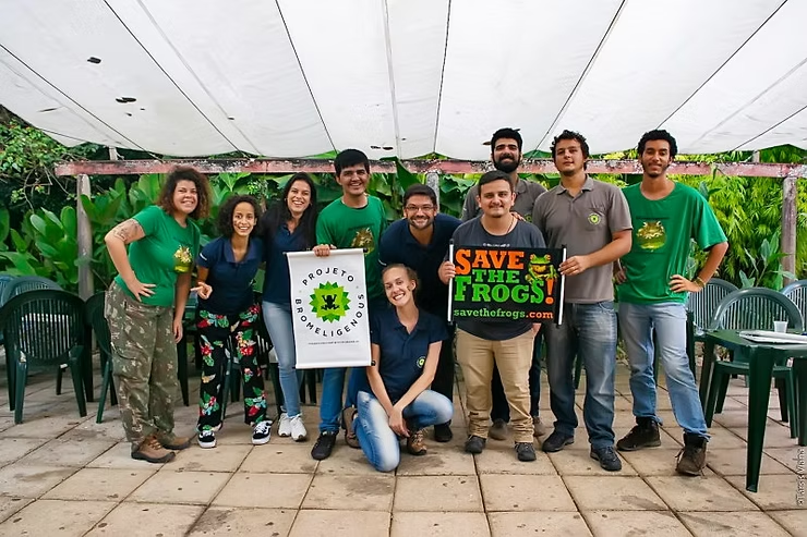 Publicações científicas BROMELIGENOUS