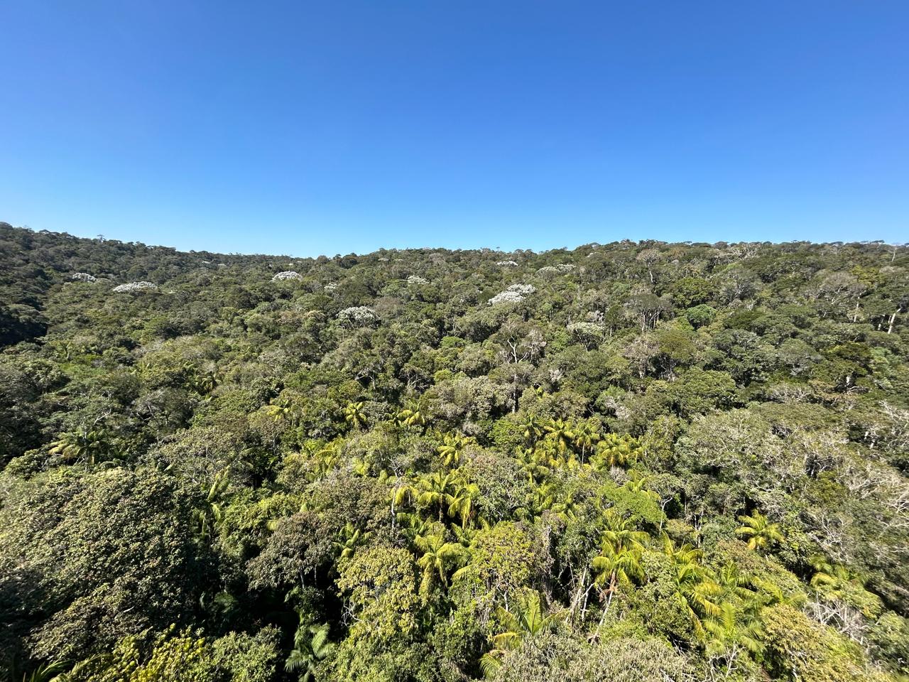 PROGRAMA DE CONSERVAÇÃO SAÍRA-APUNHALDA ABRE VAGA DE SUPERVISOR DE PROJETO