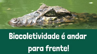 Biocoletividade é andar para frente!