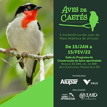 I Exposição Fotográfica Aves de Caetés