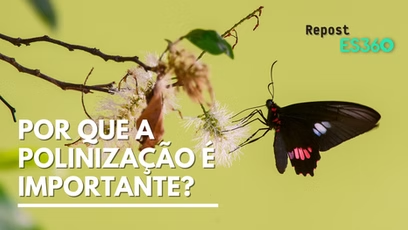 Repost – Portal ES360: Por que a polinização é importante?