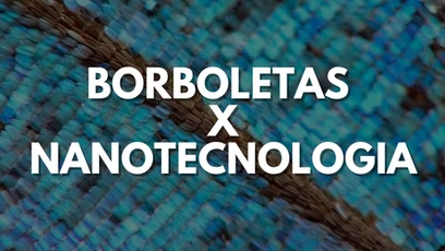 Borboletas x Nanotecnologia