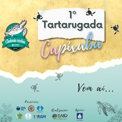 1º Tartarugada Capixaba – Projeto Chelonia mydas