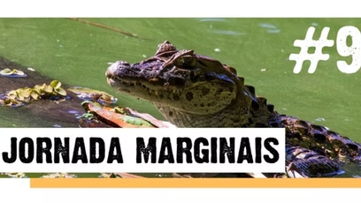 Com quem os jacarés convivem? – Jornada “Marginais” cap. #9