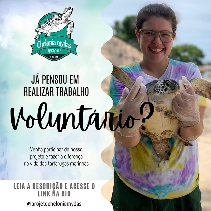 Projeto Chelonia mydas abre vagas para voluntários!
