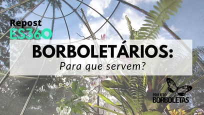 Repost – Portal ES360: Borboletários, Para que servem?